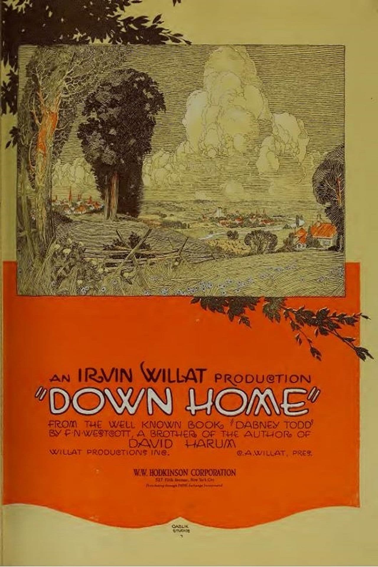 Poster do filme Down Home
