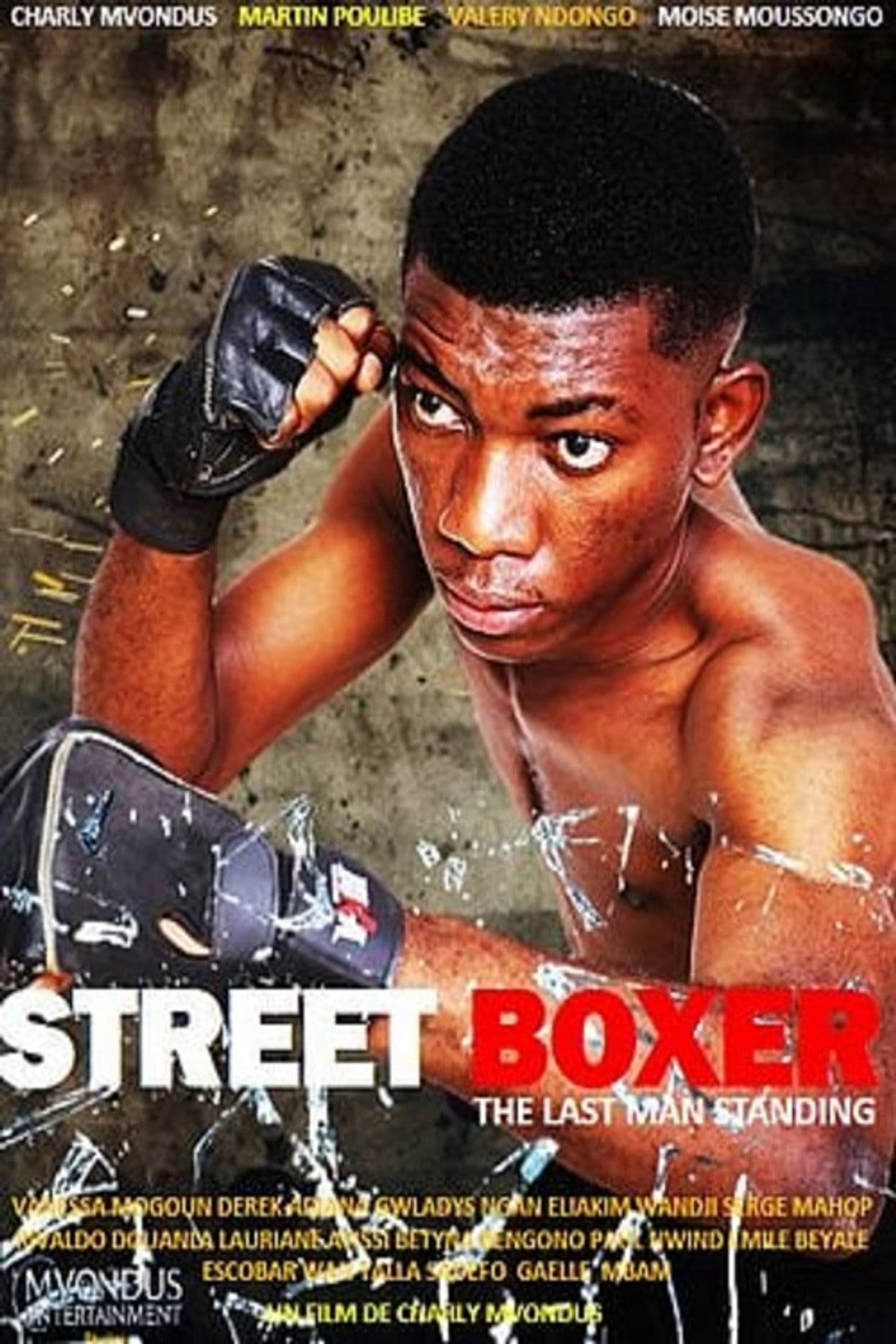 Poster do filme Street Boxer : The last man standing